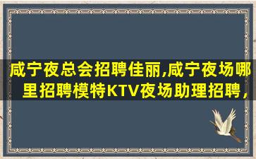 襄阳酒吧招聘